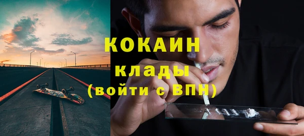 прущие грибы Богородицк