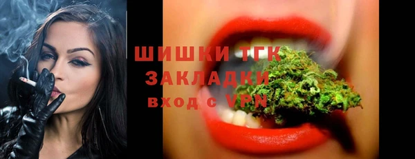 Альфа ПВП Богородск