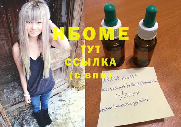 прущие грибы Богородицк