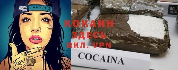 прущие грибы Богородицк