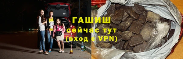 стафф Гусев