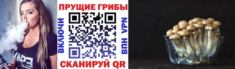 Галлюциногенные грибы Psilocybine cubensis  Можга 
