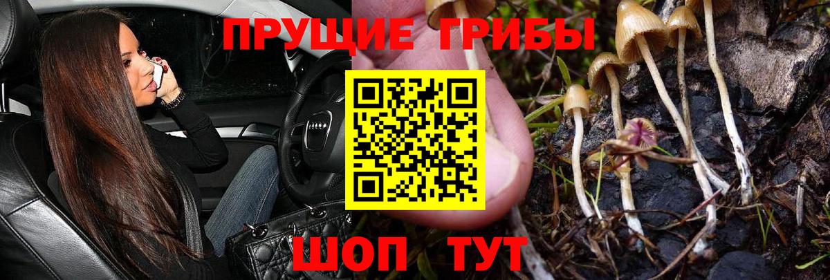 Псилоцибиновые грибы мухоморы  Вход с VPN  Можга 
