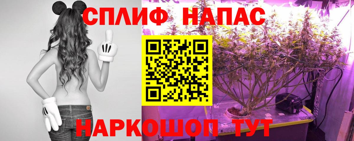 Бошки марихуана тримм  Канабис тримм  Шишки марихуана гибрид  Канабис сатива  Вход с VPN  Можга 